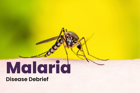 What is the emergency treatment for malaria?